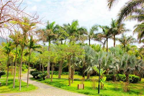 投资一家烧烤店需要多少钱，如何提高烧脑光年烤脑花的营业额