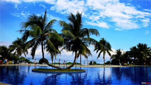 黄玉髓什么品牌性价比高