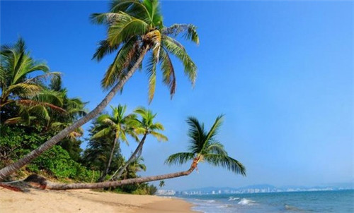 木子衣橱加盟费多少