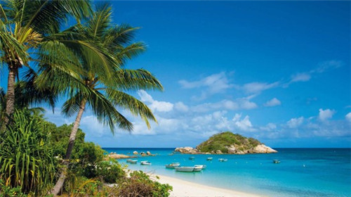 岚县开店多功能电锤加盟没经验开什么店好