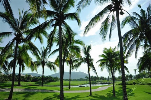 牛蛙加盟店好项目（牛蛙店加盟价格）