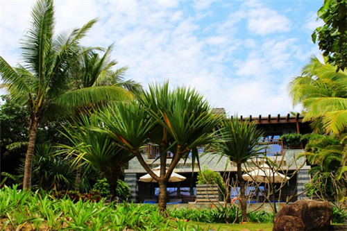 蚝油素茭瓜怎么炒比较好（油闷茭瓜）