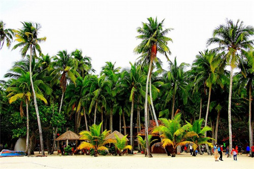 真丝内衣加盟项目现在哪些比较可靠（真丝内衣有哪几个品牌）