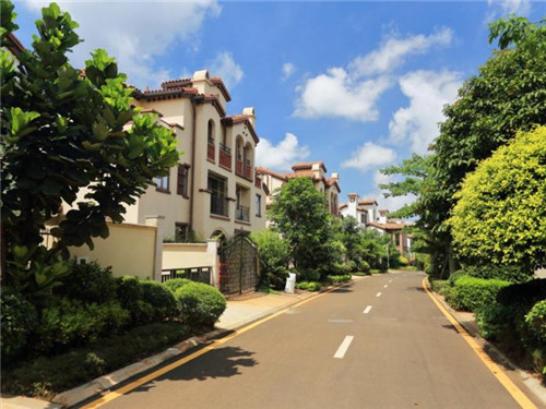 人民日报新媒体何为青年视频（人民日报新媒体的少年）