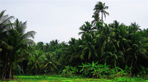 甘清环线自驾游攻略（甘青环线路况）